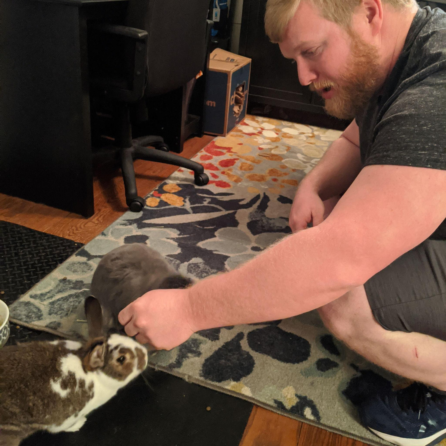 Alex meeting the bunnies