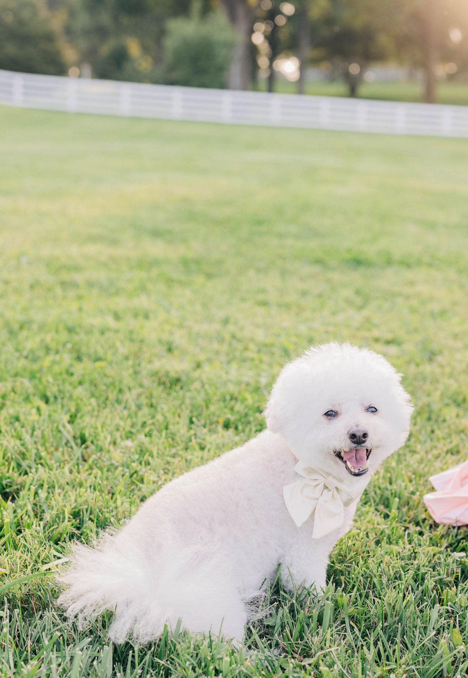 The Wedding Website of Kimberly Gaines and Benjamin Nolan