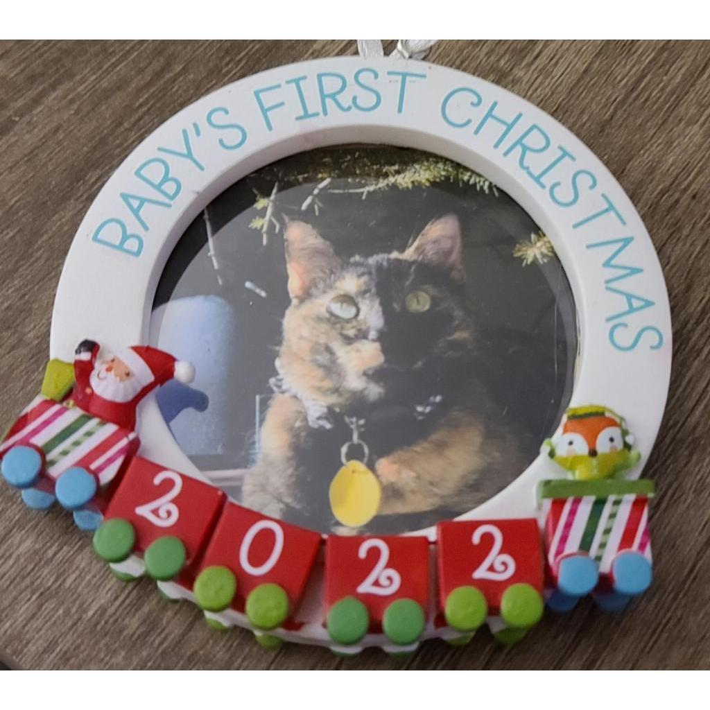 Ornament celebrating our second cat, Rhubarb, who we adopted in June 2022 just before moving to Colorado