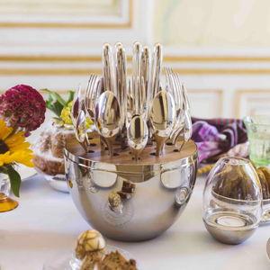 Silver-Plated 24-Piece Flatware Set Mood
