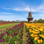 Windmill Island Gardens