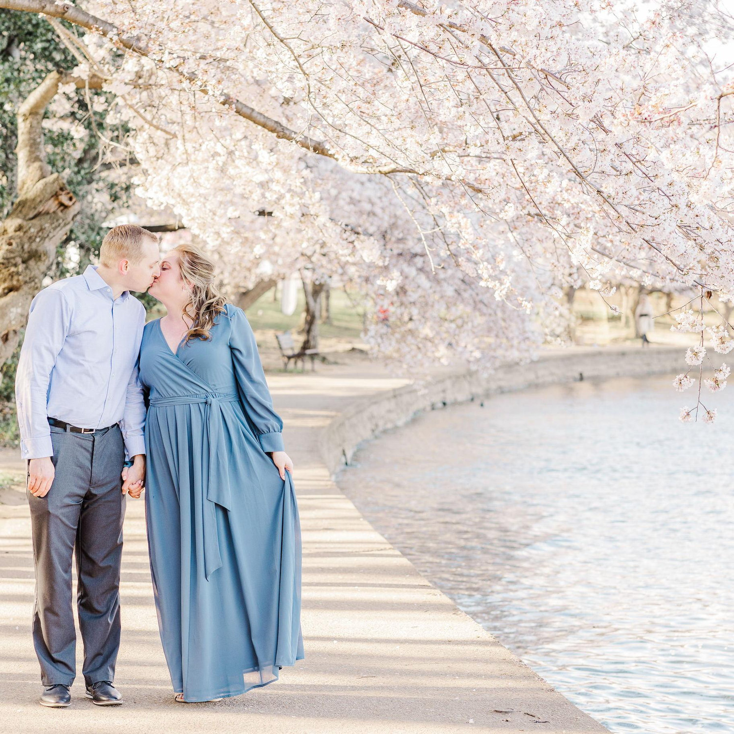 March 2022: Washington, D.C. Cherry Blossoms