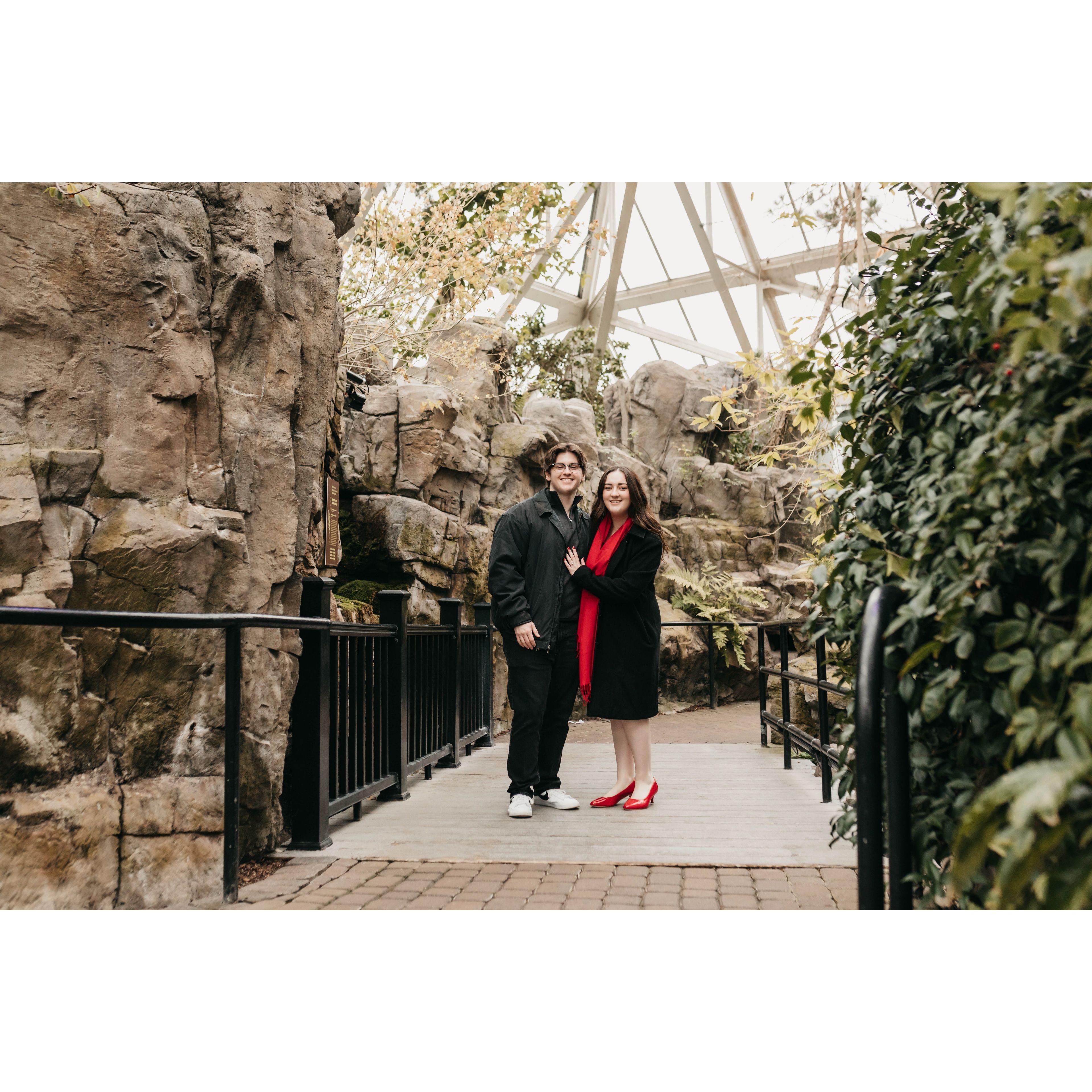Engagement