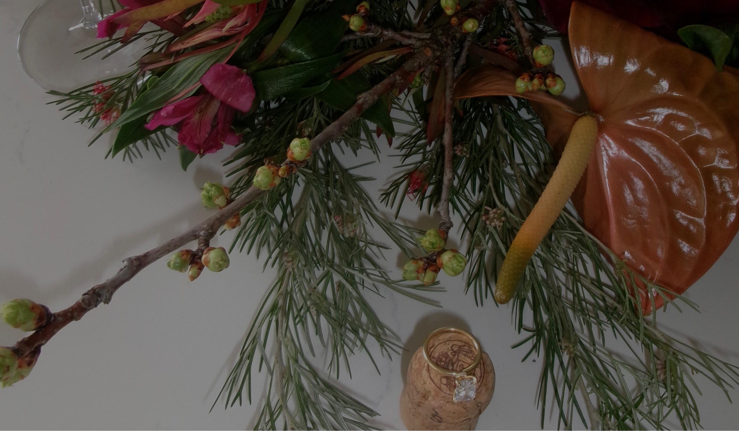 The Wedding Website of Victoria Wenger and Alexander Stelmaski