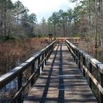 Grand Bay Wildlife Management Area