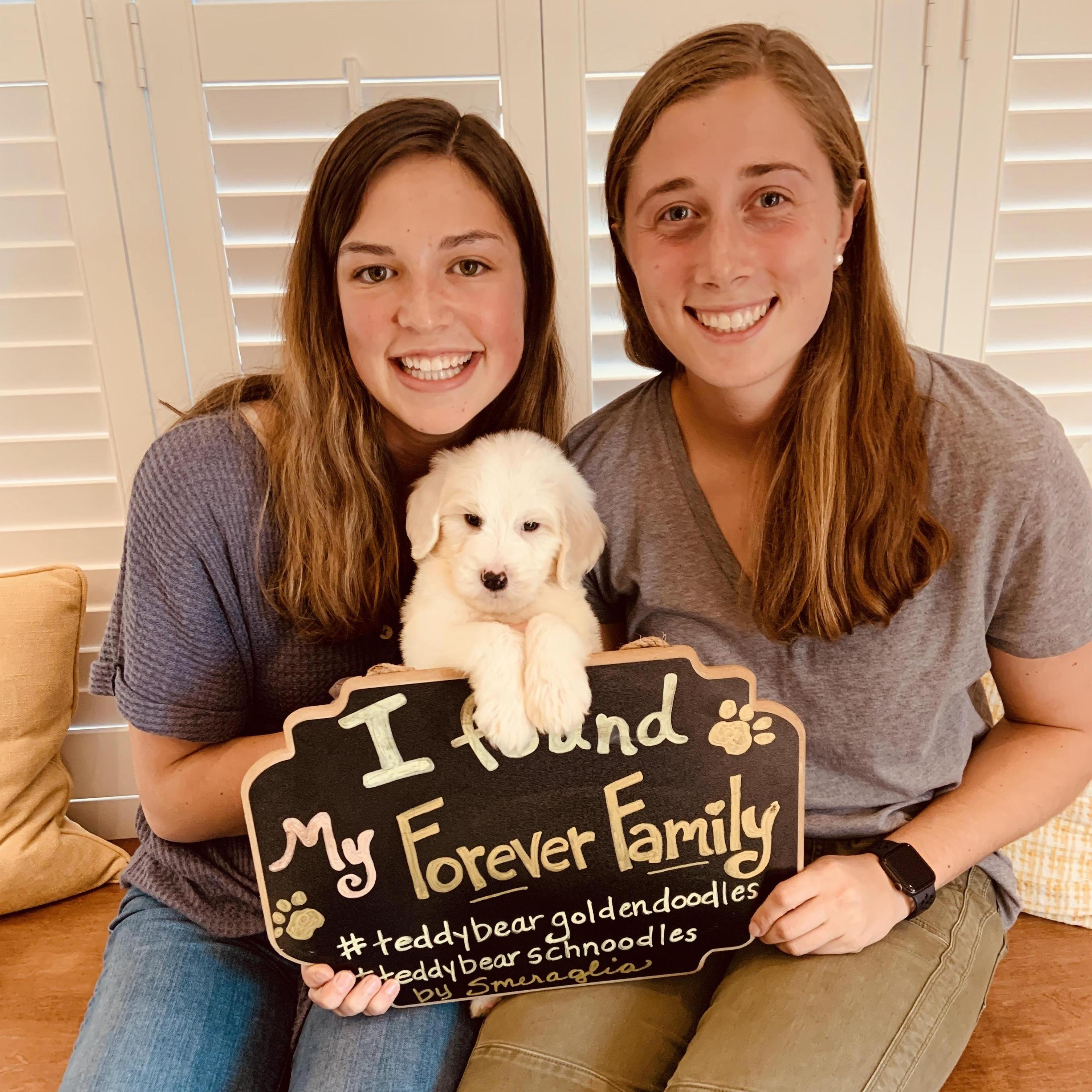 When we first met our Benji Doodle Boy