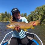 Taylor Creek Fly Shop