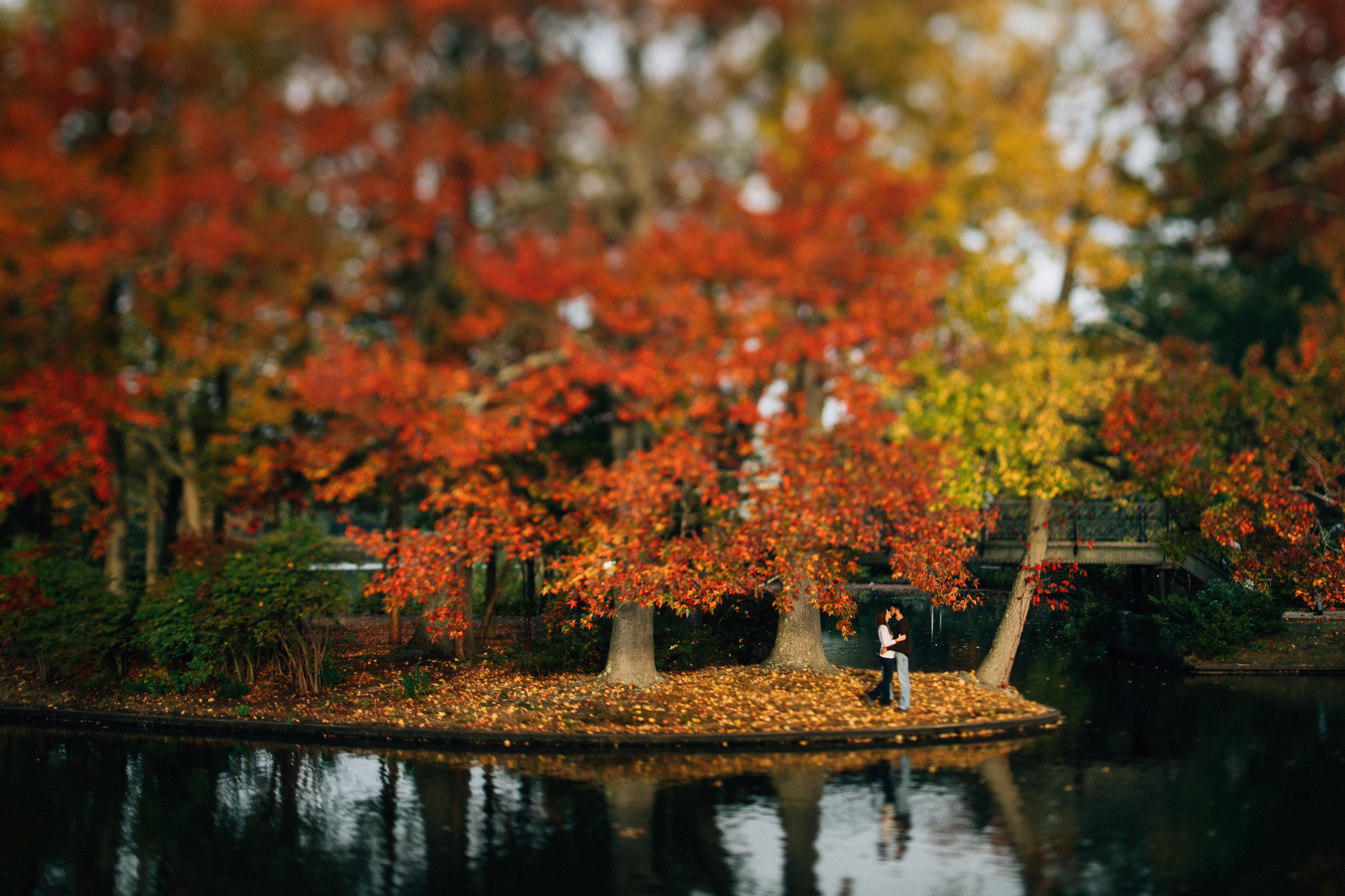 The Wedding Website of Christopher Lanctot and Sarah Rochon