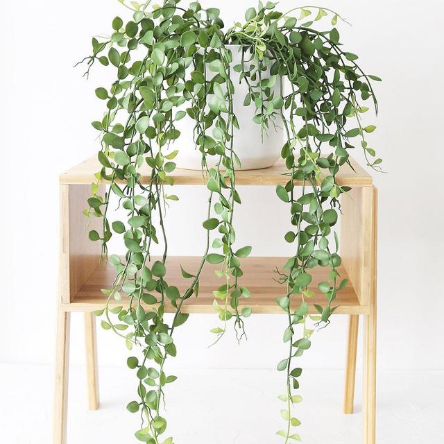 Artificial Button Leaf Plant