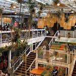 Anaheim Packing District