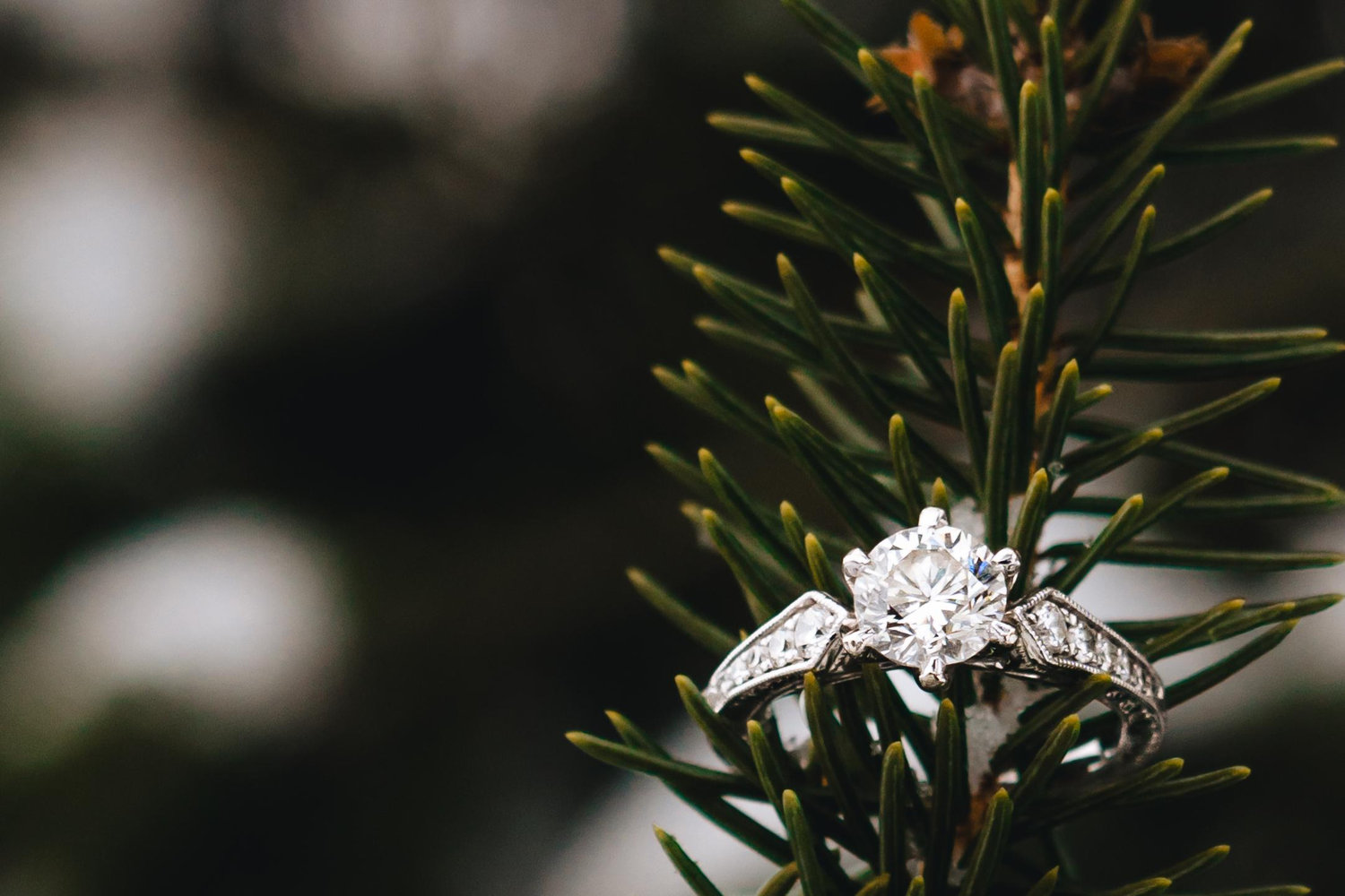 The Wedding Website of Rebecca Thompson and Sean Pleiman