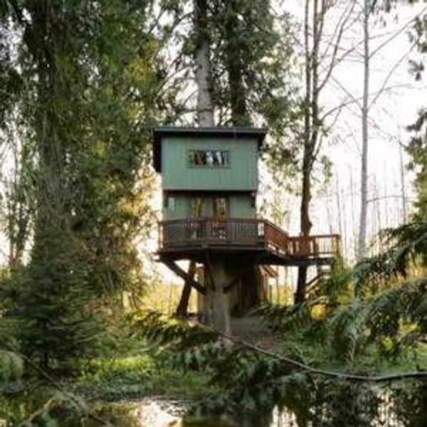 One Night Stay in Treehouse
