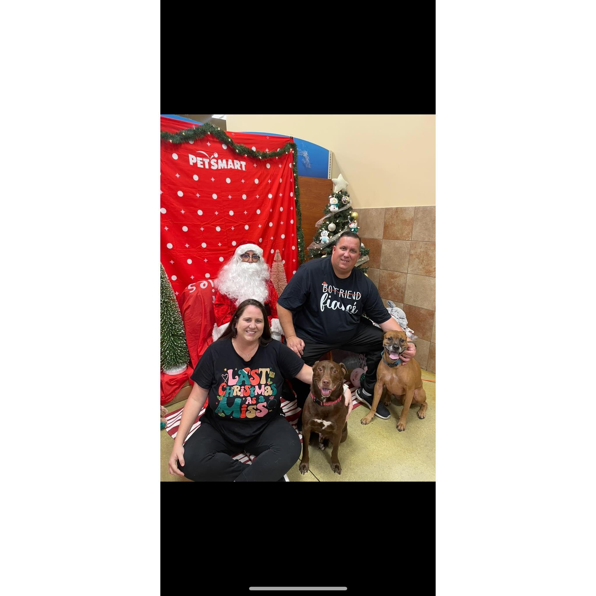 Christmas pictures with our babies (Pirate got to take this one off)