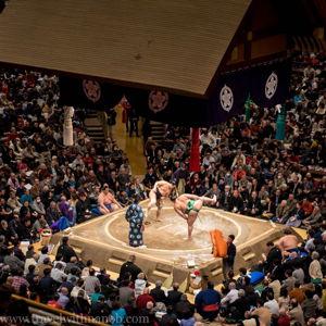 Grand Sumo Tournament in Tokyo