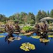 Denver Botanic Gardens
