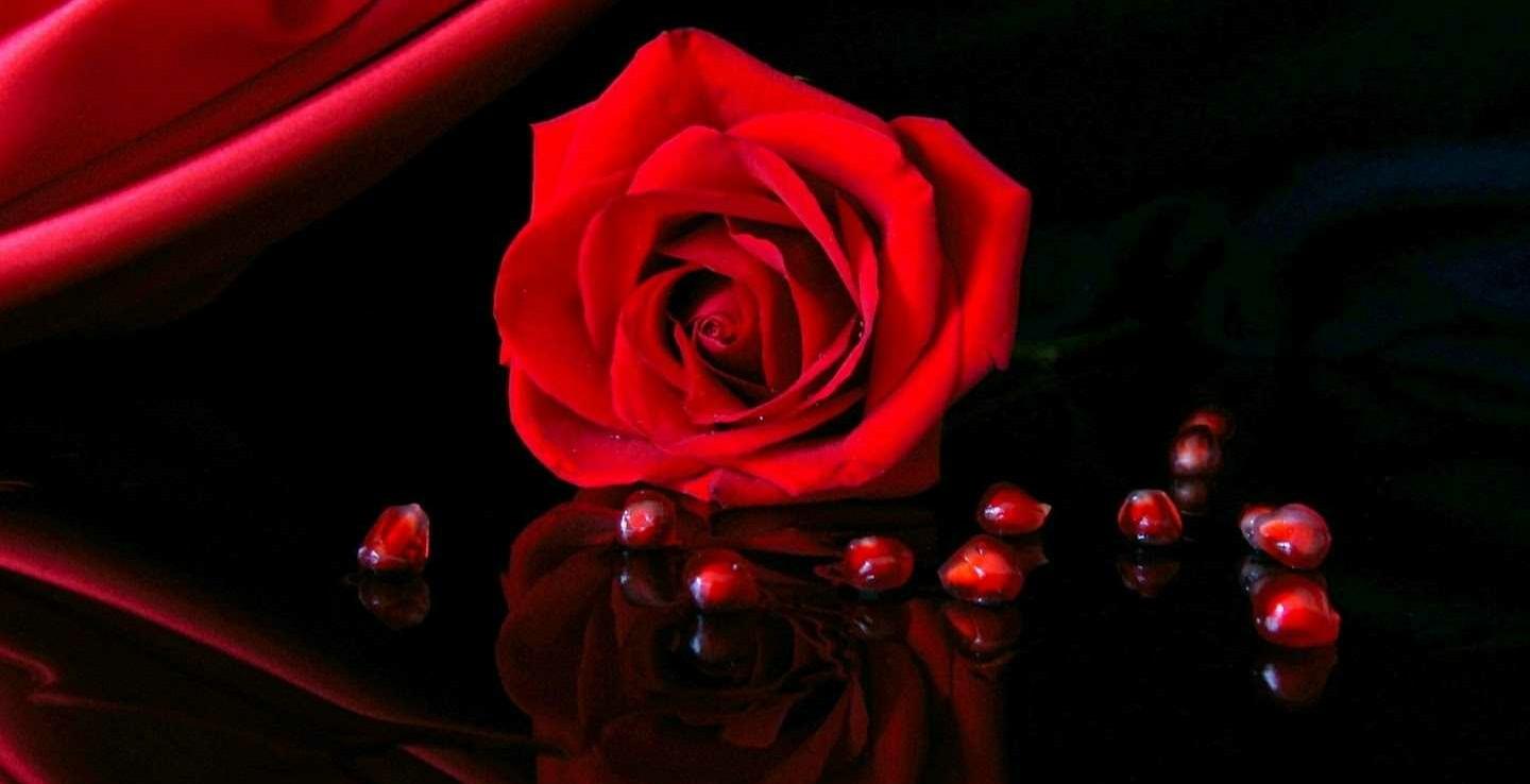 The Wedding Website of Kelly Bray and Thom Heffner