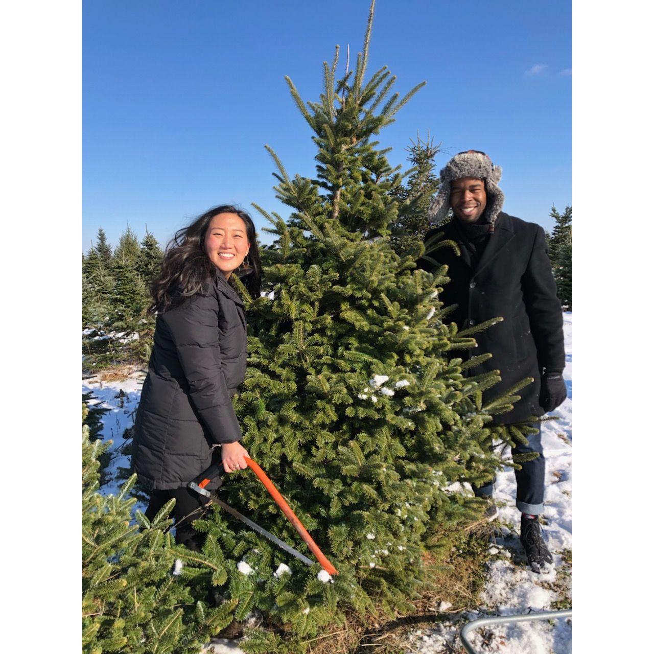 December 2018 -- First Christmas (only fake trees since π
)