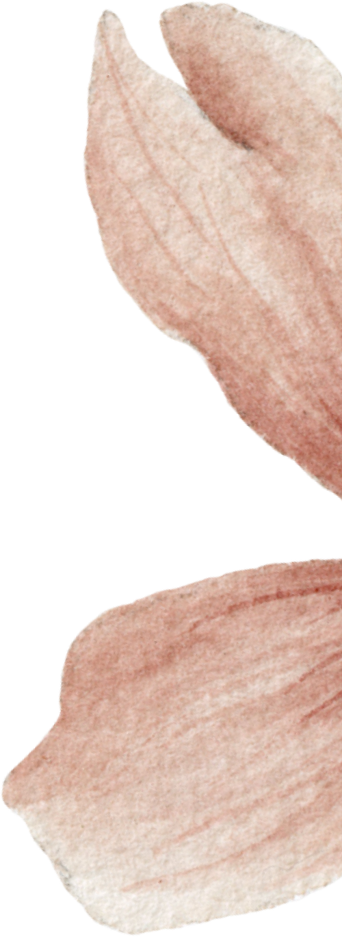 Donna Dewberry and Jeffrey Rudnick's Wedding Website