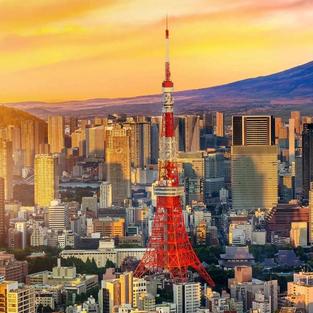 Our Honeymoon Fund to Japan
