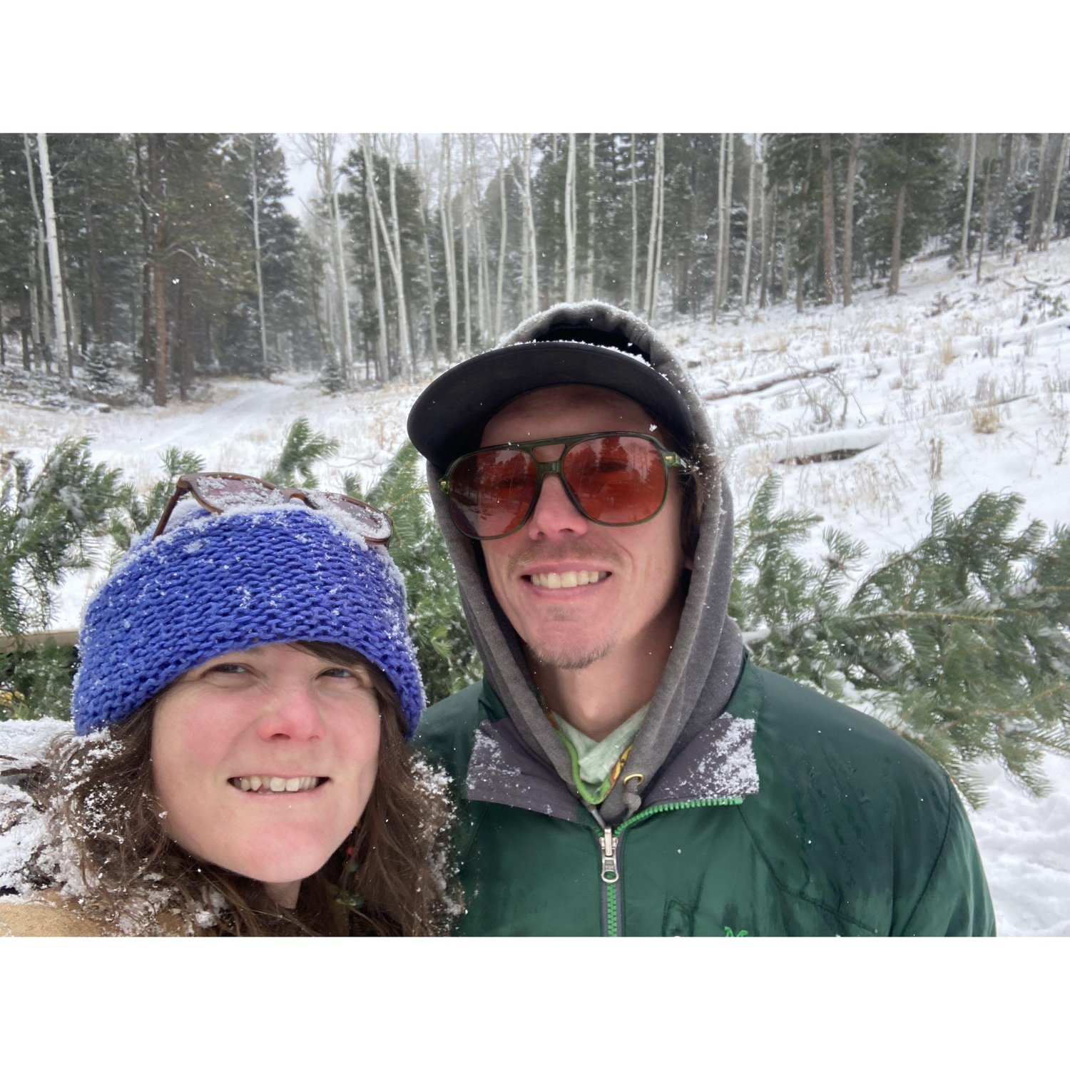 Cutting our Christmas Tree NM '23