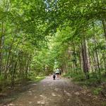 Latta Nature Preserve