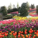 Tulsa Botanic Garden