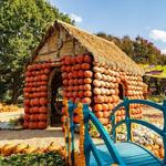 The Dallas Arboretum and Botanical Garden