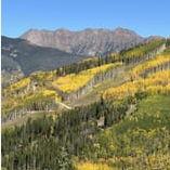 Strawberry Lane Trail (5 min walk from Sebastian)