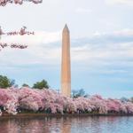 Washington D.C.