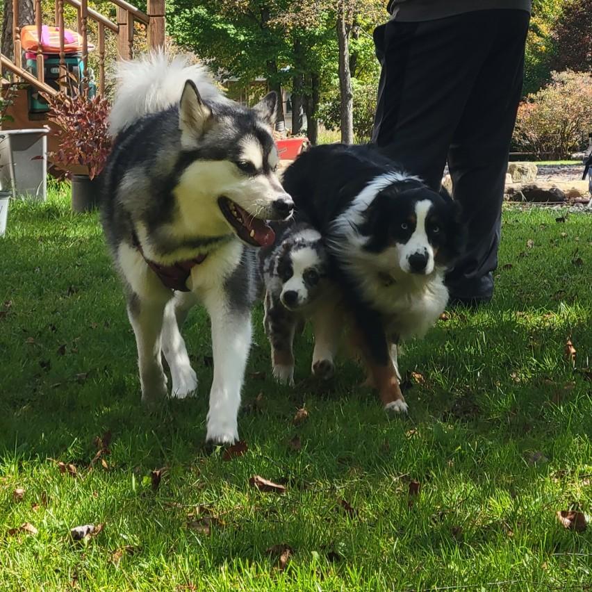 Zuzu and her besties!