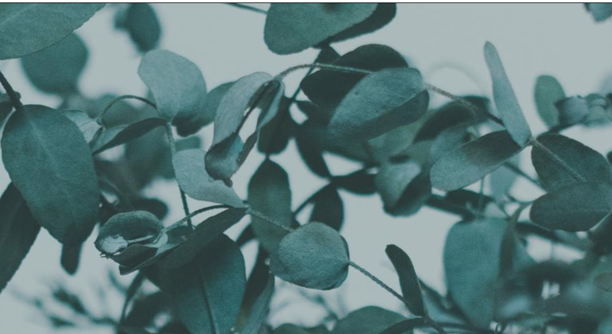 Footer image