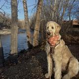 Boise River Greenbelt