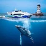 Harbor Breeze Cruises