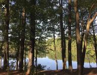 Sandy Bottom Nature Park