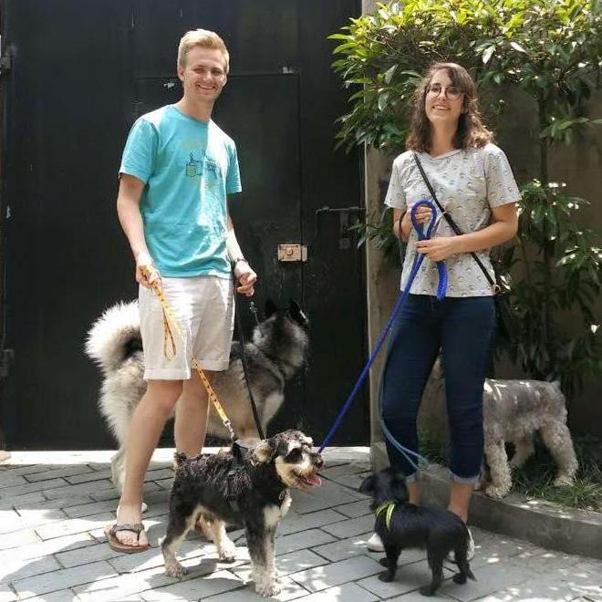 Living in Shanghai mostly meant that we ended up with A LOT of dogs