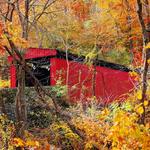 Wissahickon Valley Park