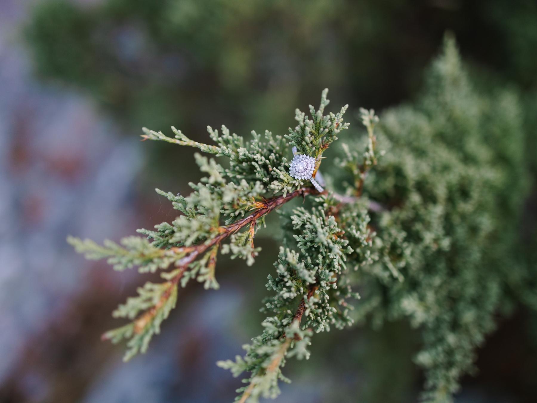 The Wedding Website of Rachelle FitzMaurice and James Jordan