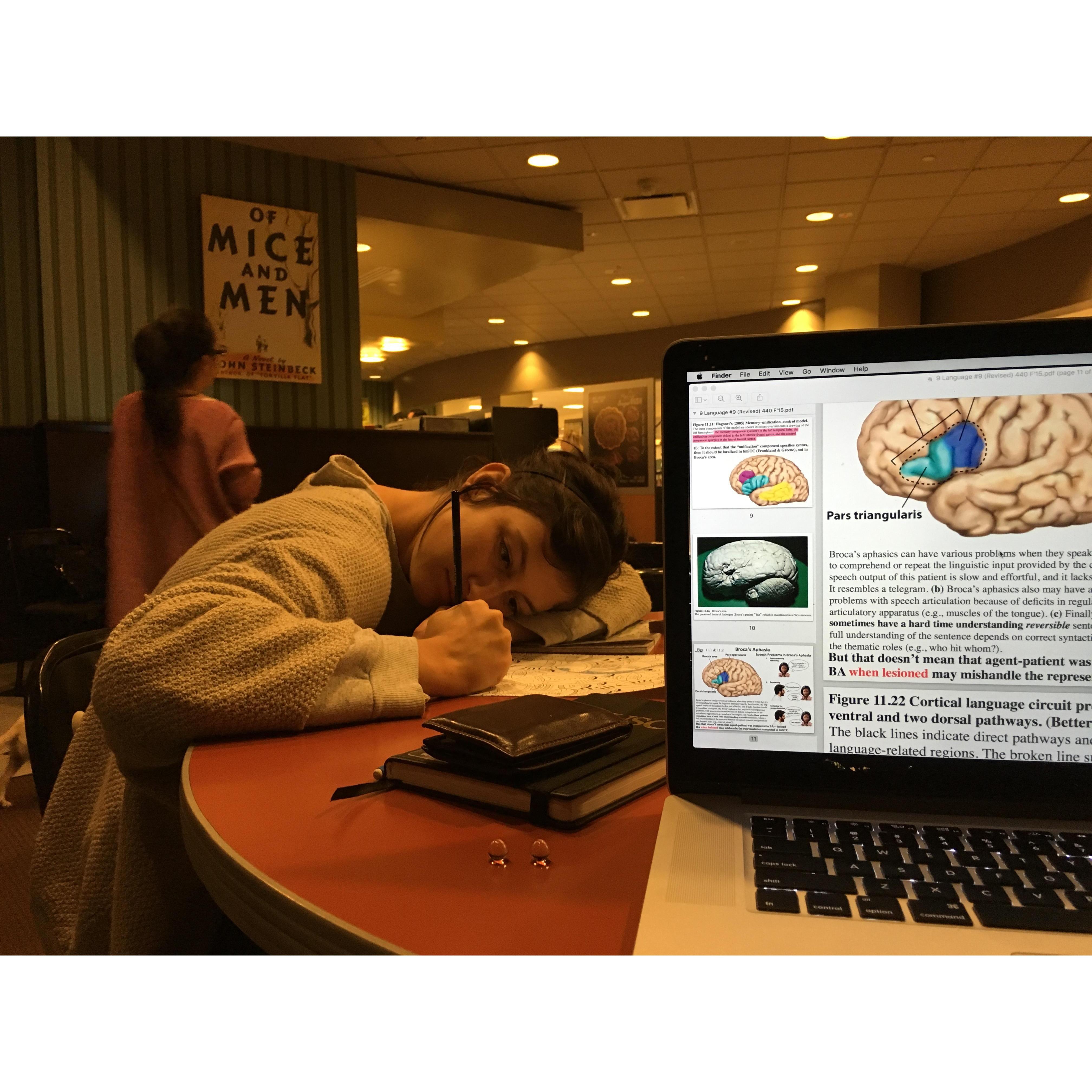 studying in college while she colors