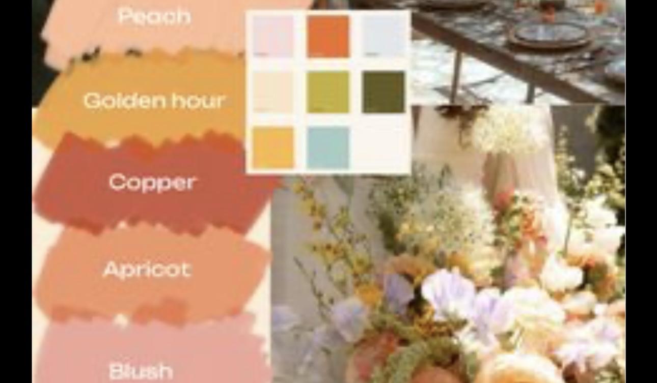 The Wedding Website of Gage Phillip Anderson and Alissa Christine Baugh
