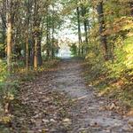 Greenwich Audubon Center