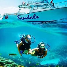 Boat Tour on Honeymoon