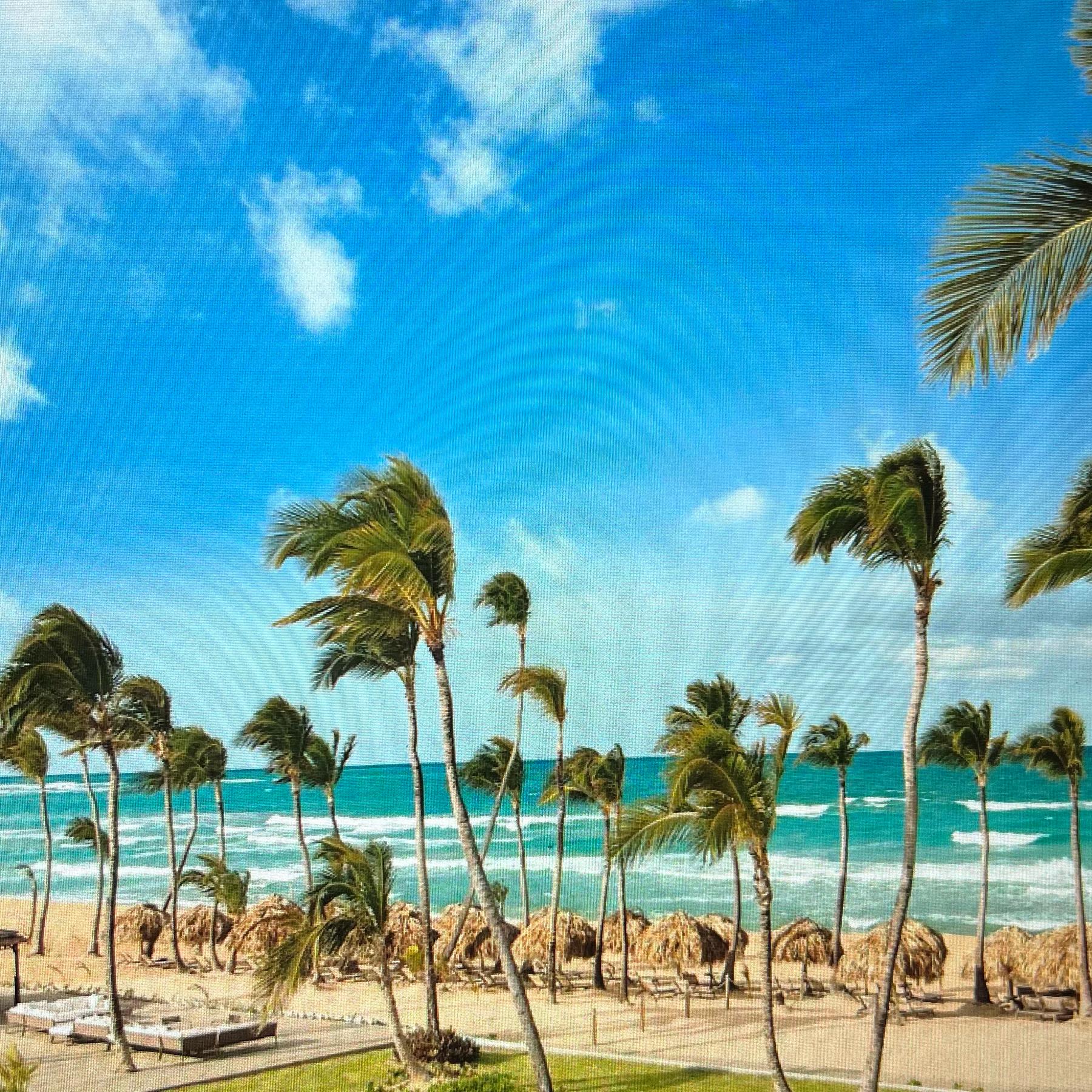 Honeymoon Resort- Excellence Punta Cana (Dominican Republic)