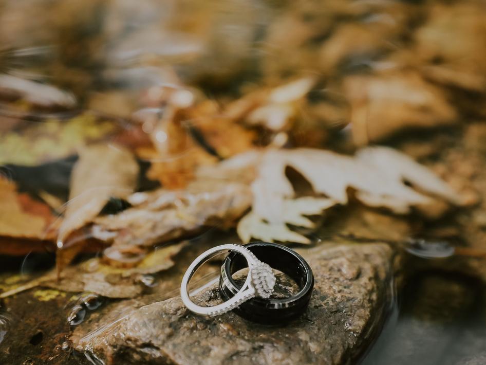 The Wedding Website of Taylin Leone and Deitrich Shrieves