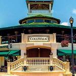 Coconut Grove
