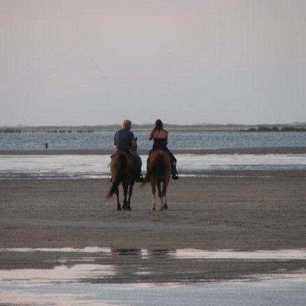 The last Sunset ride 2009