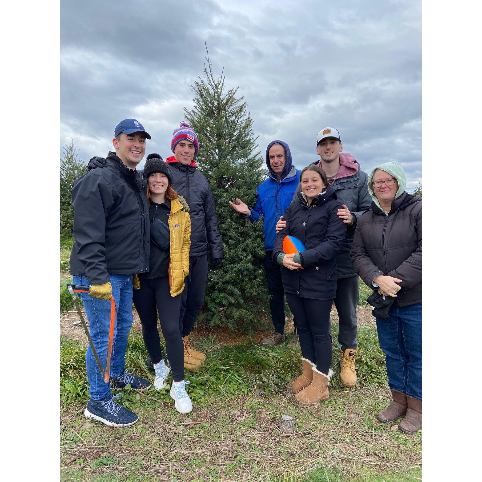 Lindsey's 1st annual Stokoe's Christmas Tree extravaganza