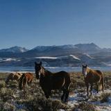 Rusty Spurr Ranch