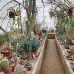 Moorten Botanical Garden