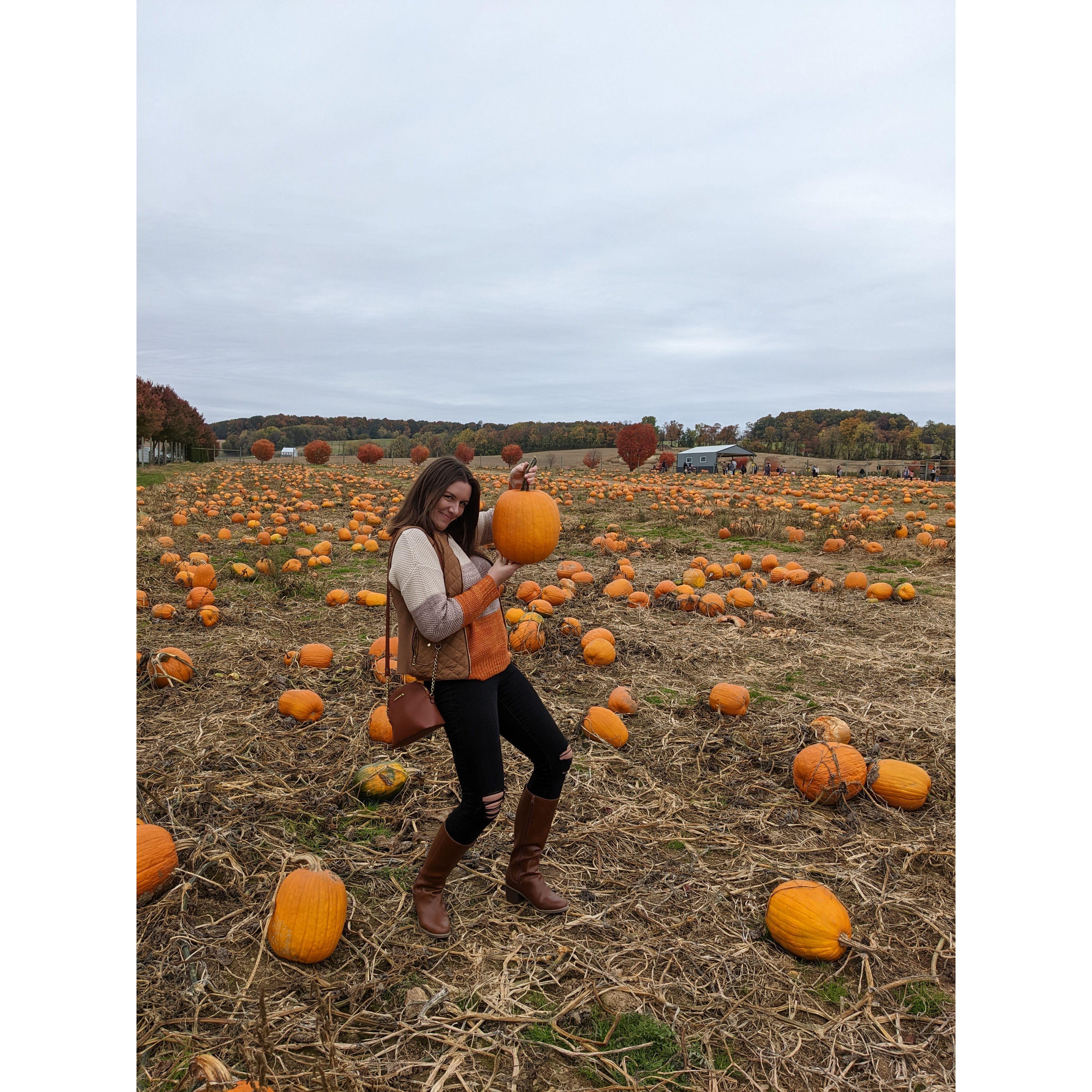 First time picking pumpkins