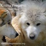 Kisma Preserve